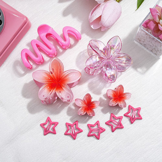 Pink-it Girly! Hair clip Combo